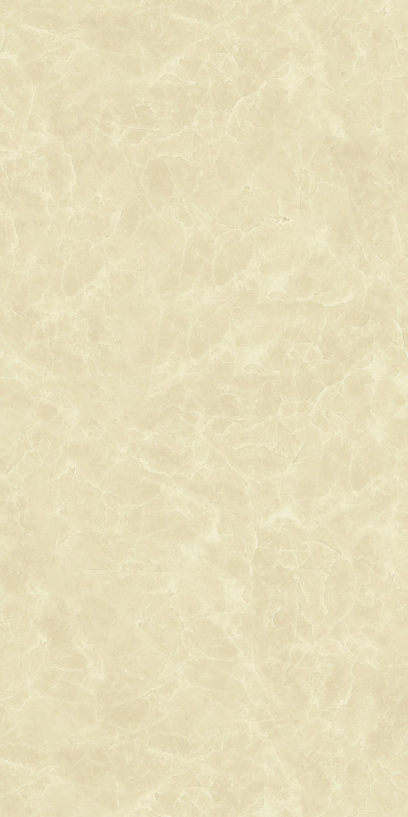 26TLS201Q 拿鐵產(chǎn)品圖