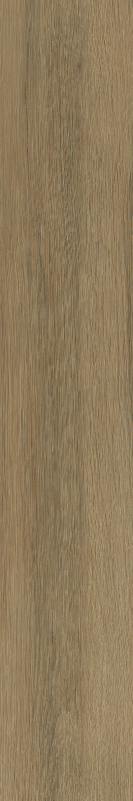 122FW113B 西域胡楊產(chǎn)品圖