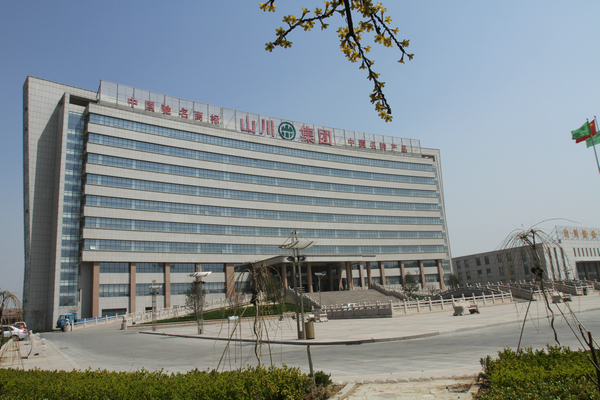山東省淄博山川集團(tuán)辦公大樓