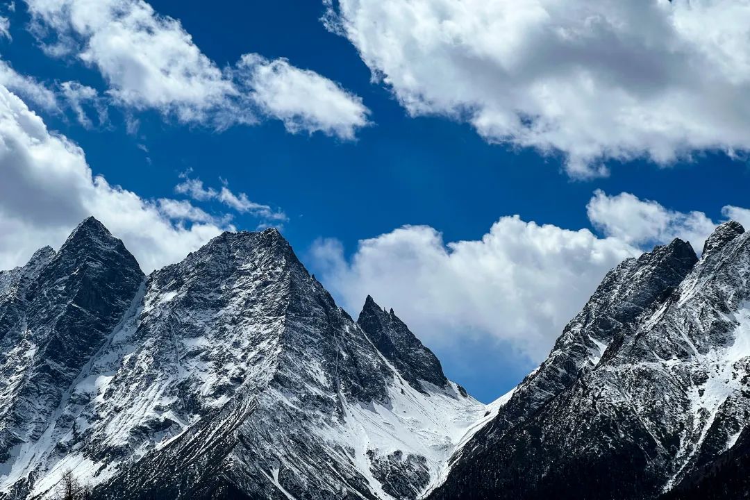 LANDSxRDR大板|奧斯汀 筑就奢雅新境