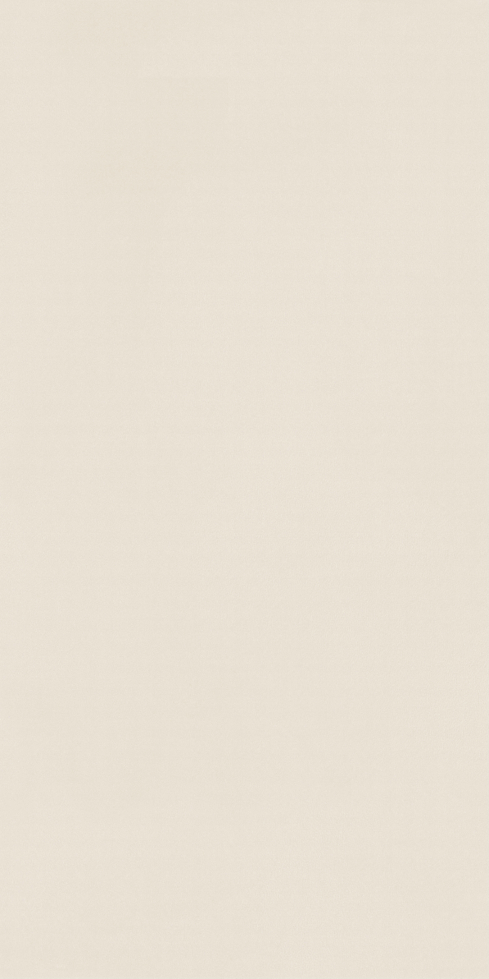 LJXB85812 薄紗米白產(chǎn)品圖