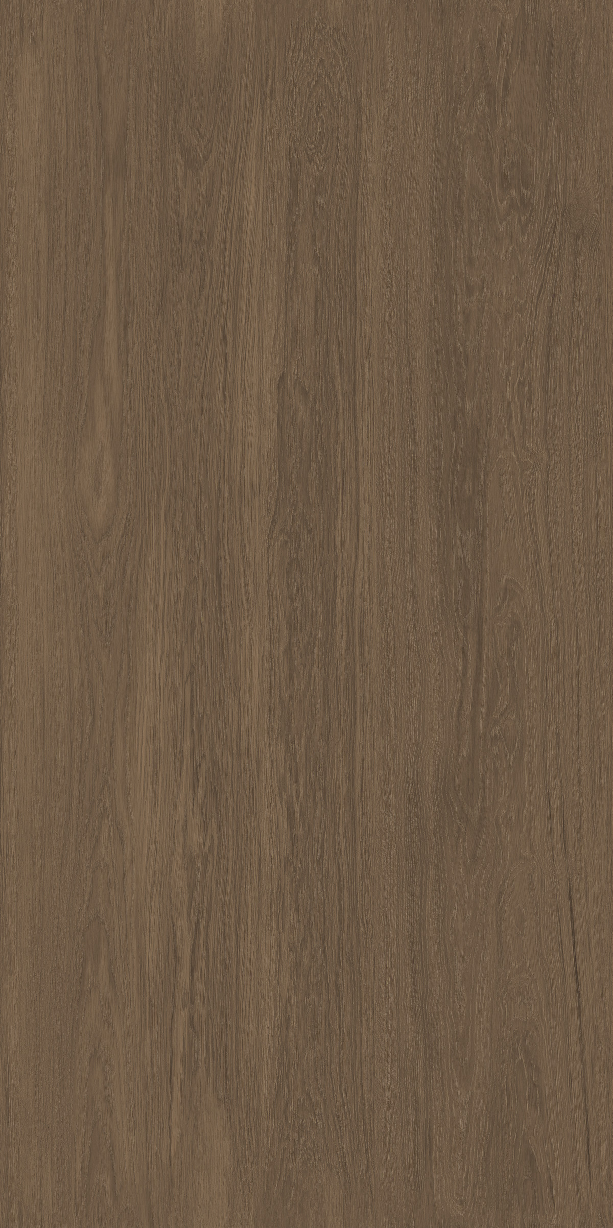 126FJR513C 云嶺樺木產(chǎn)品圖